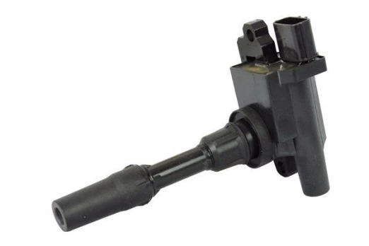 Ritė, uždegimas MAGNETI MARELLI 060717093012