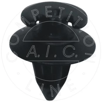 Sąvarža AIC 55658
