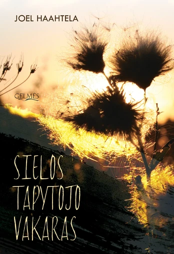 Sielos tapytojo vakaras