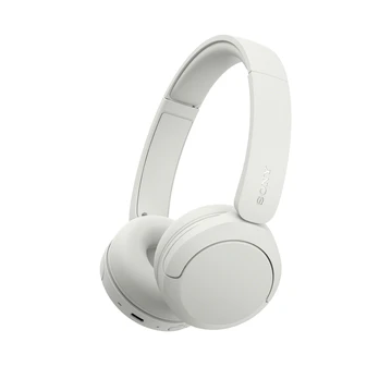 Ausinės SONY WH-CH530W