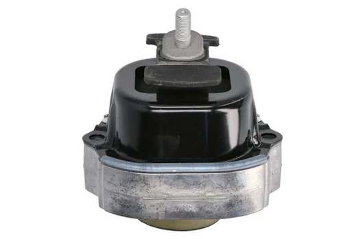 Variklio montavimas TEDGUM TED55775