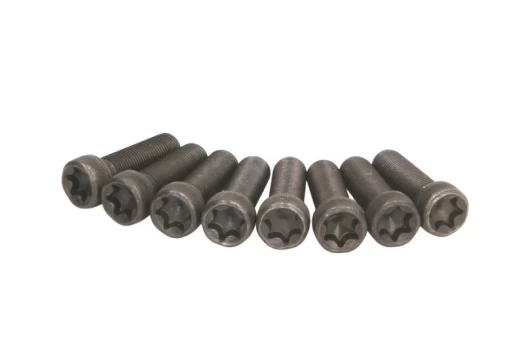 LUK 411 0228 10 Flywheel bolt set
