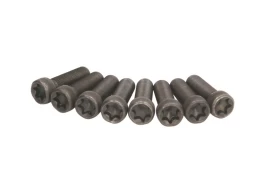 LUK 411 0228 10 Flywheel bolt set kaina