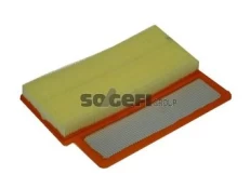 Oro filtras PURFLUX A1459 kaina