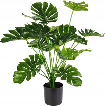 Dirbtinė gėlė Montera Deliciosa, 50-75 cm