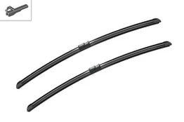 Valytuvai BOSCH 3397118948