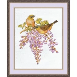 White-Eyed Birds S945