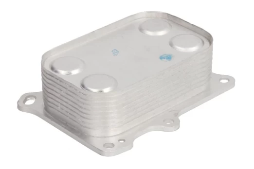 Alyvos radiatorius THERMOTEC D4F007TT