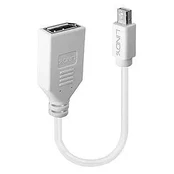 ADAPTERIS MINI DP Į DP/0.2M 41021 LINDY
