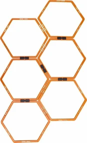 Master Training Kopėčios MASTER Hexa pratimams kaina