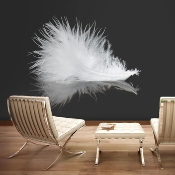 Artgeist Fototapetas - Baltas feather 400x309