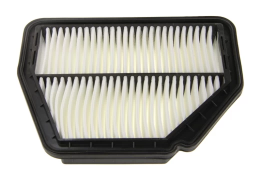 Oro filtras FILTRON AP109/3