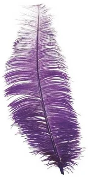 Fiesta Lilla strudsefjer 30 cm, 12 stk