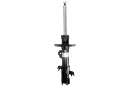BILSTEIN 22-319760 Shock absorber kaina
