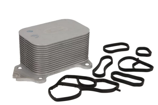 Alyvos radiatorius THERMOTEC D4C003TT