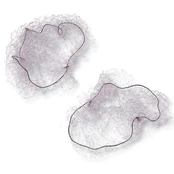 Beter Invisible Hair Nets Brown Blond 2 vnt kaina