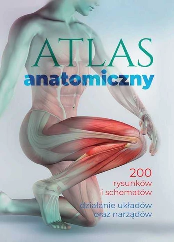 SBM anatominis atlasas