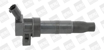 Ritė, uždegimas BorgWarner (BERU) ZS548