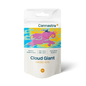 Cannastra H4CBD 40% Flower Cloud Giant Kanapės