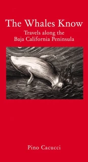 Whales Know