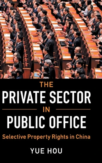 Private Sector in Public Office