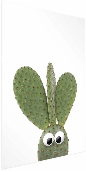 Artgeist Plakatas - Eared Cactus