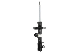 BILSTEIN 22-264985 Shock absorber kaina