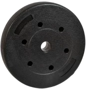 Diskinis svoris Energetic Body Weight Disc, 5 kg kaina