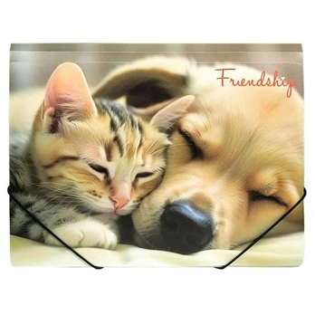 Aplankas su guma A4 FRIENDSHIP