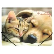 Aplankas su guma A4 FRIENDSHIP kaina