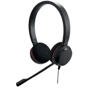Ausinės Jabra Evolve 20 UC kaina