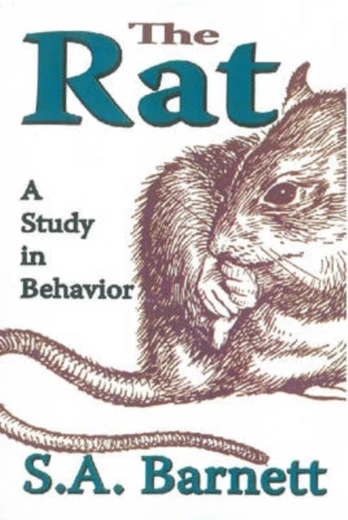 Rat