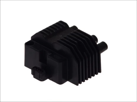 Ritė, uždegimas MAGNETI MARELLI 060717046012