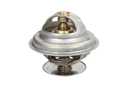 termostatas, aušinimo skystis THERMOTEC D2CA010TT