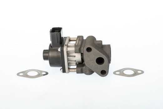 ERG vožtuvas BorgWarner (Wahler) 711024D/1