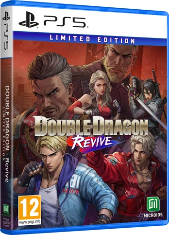 Double Dragon: Revive 