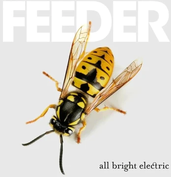 All Bright Electric