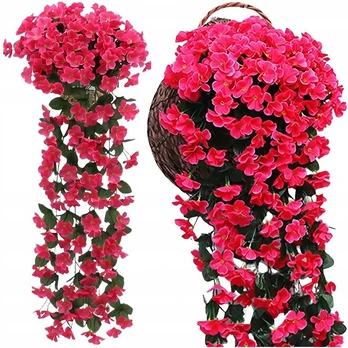 Dekoratyvinė vijoklinė gebenė