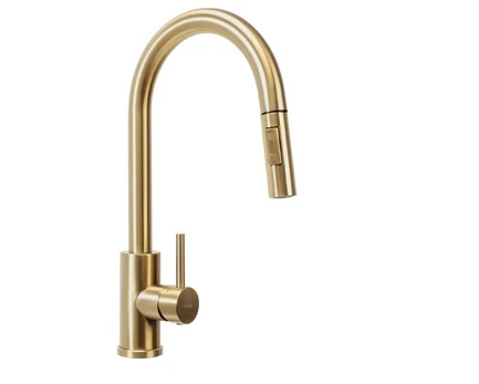 Rea Fresh virtuvės maišytuvas Brushed Gold