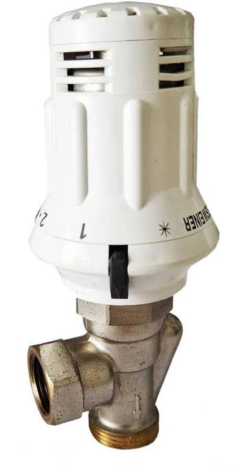 Termoreguliatorius REGULUS TP08