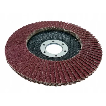 Šlifavimo diskas lapelinis 125mm P60 1vnt.