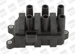 Ritė, uždegimas BorgWarner (BERU) ZS372