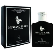 Ford Mustang Mustang Black EDT tualetinis vanduo vyrams, 100 ml kaina