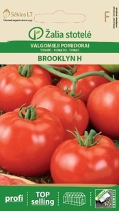 Valgomieji pomidorai Brooklyn H