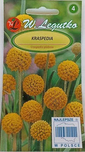 Kraspedija rutulinė