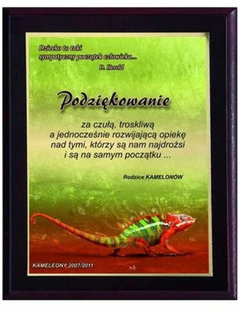 Tryumf Plastikinis diplomas su spalvotu touch laminatu