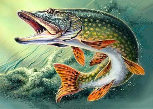 Deimantinis paveikslas Pike WD225 38*27 cm
