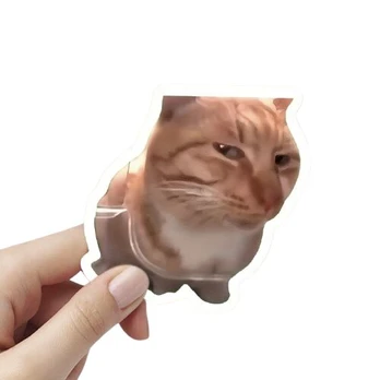 Kačių Memų Lipdukai, 100 vnt.