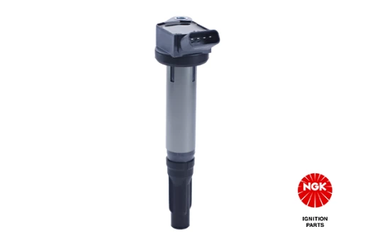 Ritė, uždegimas NGK 48257