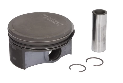 NURAL 87-435500-00 Piston